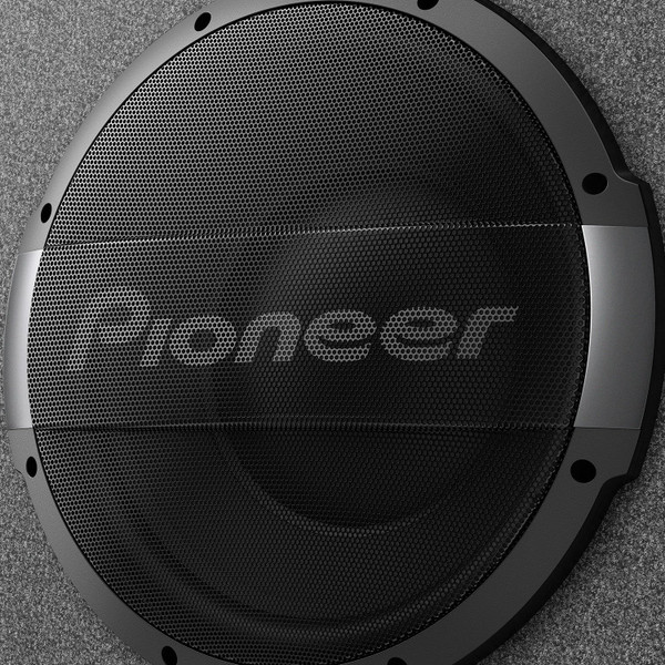 12-Inch Ported-Enclosure Powered Subwoofer System