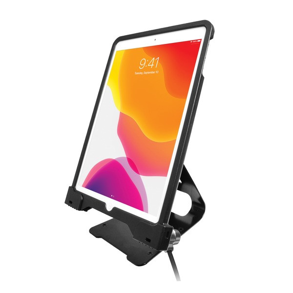 Anti-Theft Security Case With Stand For Ipad(R) CTAPADASCS10 By Petra