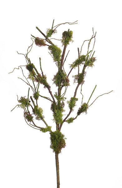 66165DS Moss Twig Spray (Set Of 12) 35"H Moss/Twig By Melrose