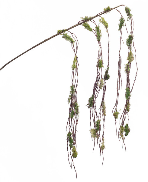 66166DS Moss Twig Hanging Branch (Set Of 12) 56"H Plastic/Moss/Wire By Melrose