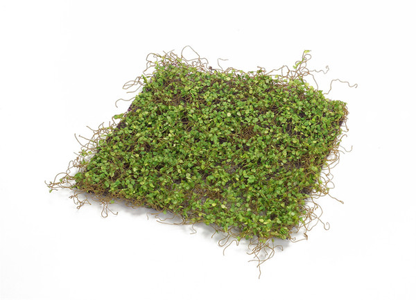 66252DS Moss Mat (Setof 12) 12"Sq Polyester/Plastic By Melrose