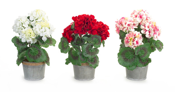 66623DS Potted Geranium (Set Of 3) 12.5"H Polyester/Tin By Melrose