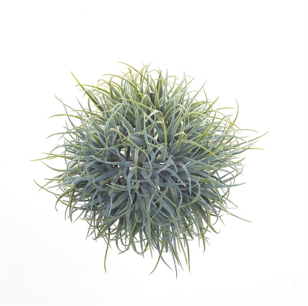 66852DS Hanging Air Plant Orb (Set Of 12 ) 6.5"D Plastic By Melrose