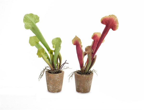 70647DS Potted Cobra Lily (Set Of 6) 13"H Polyester/Plastic/Terracotta By Melrose