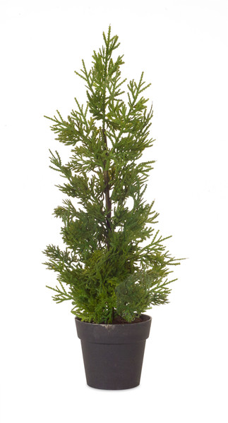 76706DS Potted Pine Tree (Set Of 6) 18"H Plastic By Melrose