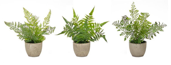 82620DS Potted Fern (Set Of 3) 9.5"H Plastic By Melrose