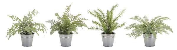 Potted Fern (Set Of 4) 15"H Plastic 74393DS By Melrose