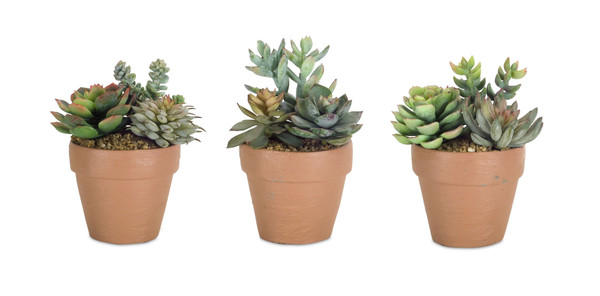 Potted Succulent (Set Of 6) 6.25"H Plastic/Ceramic 74527DS By Melrose