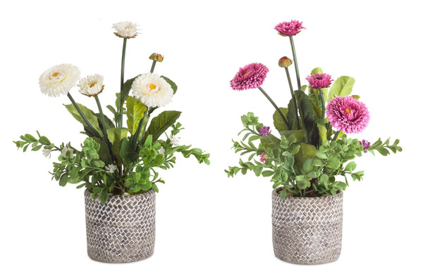 Potted Mum (Set Of 2) 14"H Polyester/Cement 74573DS By Melrose