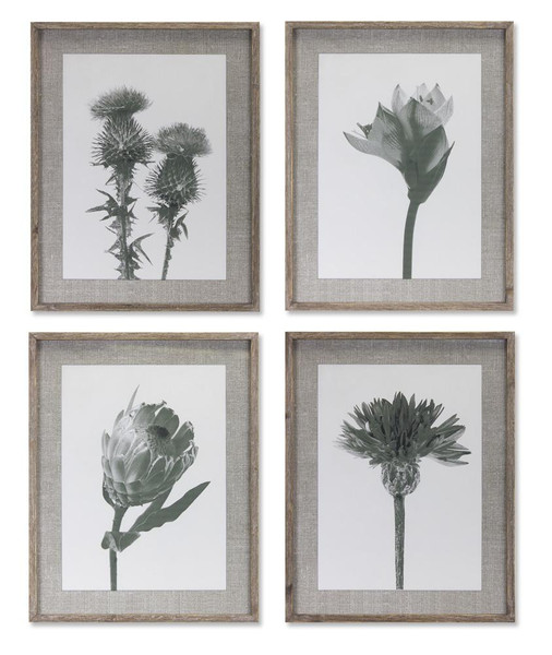 Melrose Floral Print (Set Of 4) 21.5" X 27.5"H Wood/Glass 78000DS