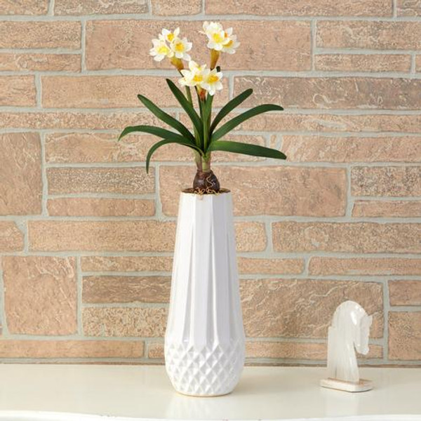 12" Narcissus Artificial Flower (Set Of 6) 2347-S6-WH By Nearly Natural
