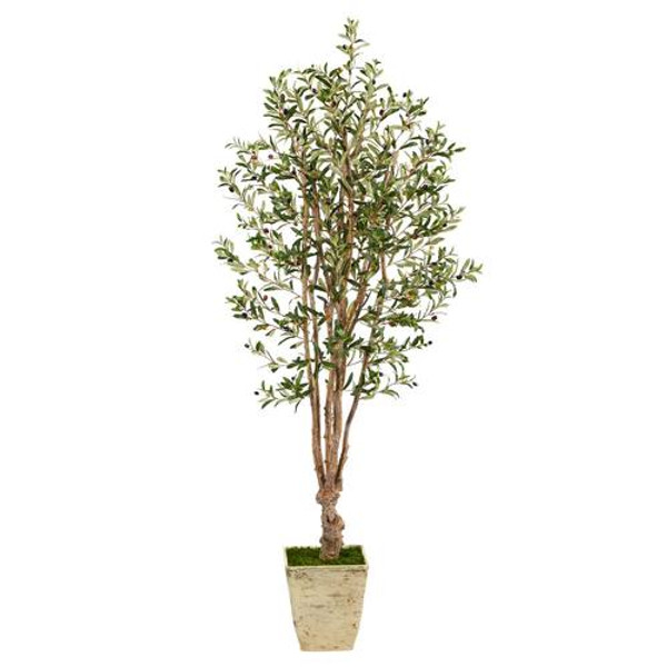6.5' Olive Artificial Tree In Country White Planter T2453 By Nearly Natural