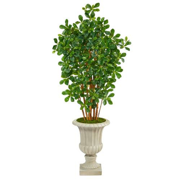 63" Black Olive Artificial Tree In Sand Finished Urn T2456 By Nearly Natural