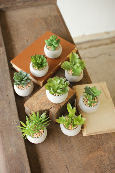 Kalalou Small Succulents With Round Cement Pots - (Set Of 8) CNL1080