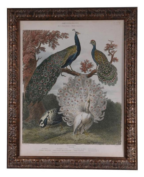 Peacock Gathering Wall Art CSS2043 By Crestview