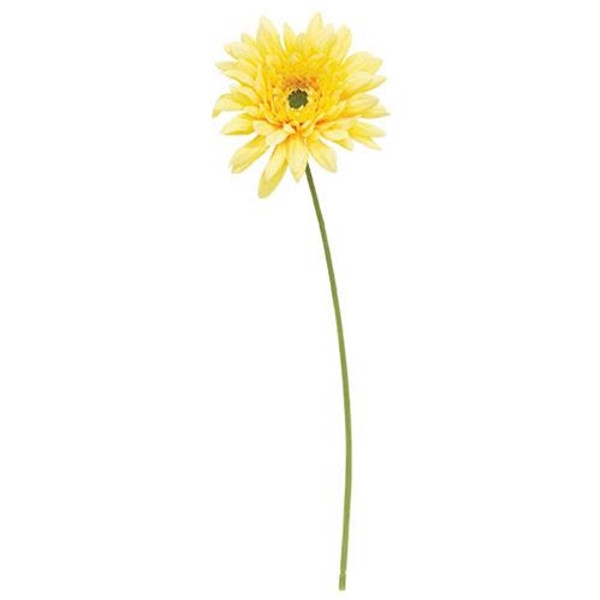 *Blooming Daisy Stem Dark Yellow F18124 By CWI Gifts