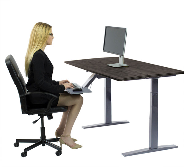 Premier 45" Gray Dual Motor Electric Office Adjustable Standing Desk 397729 By Homeroots