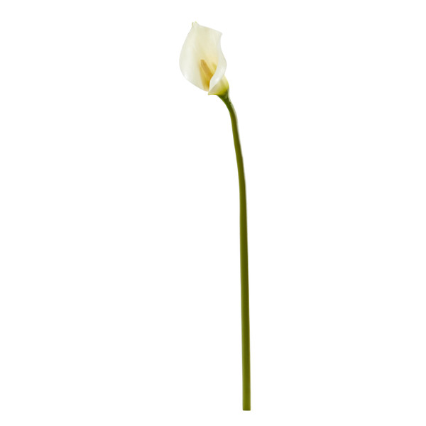 30" Calla Lily Artificial Flower (Set Of 6) 2315-S6-WH By Nearly Natural