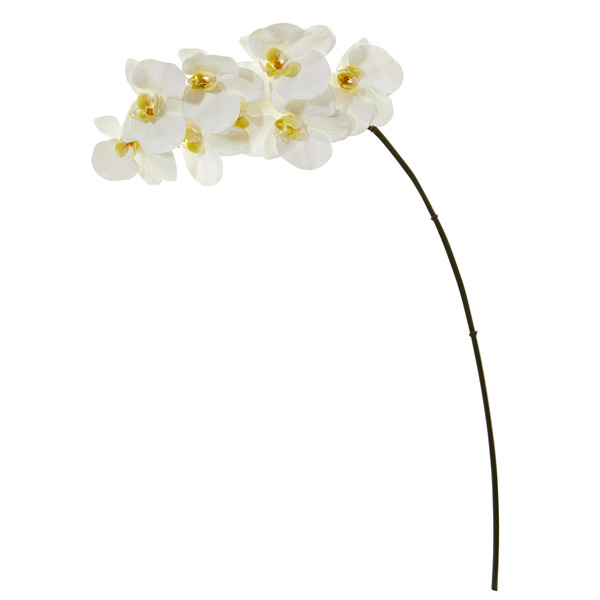 34" Phalaenopsis Orchid Artificial Flower (Set Of 6) - White 2322-S6-WH By Nearly Natural