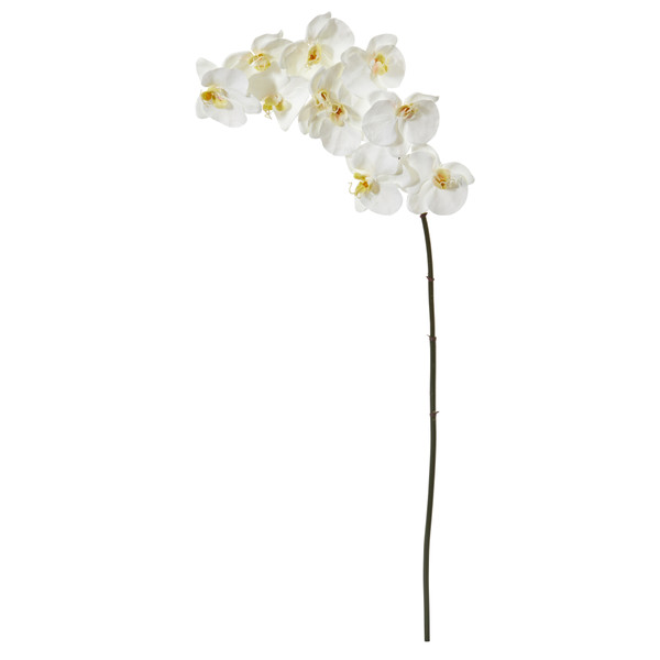 44" Phalaenopsis Orchid Artificial Flower (Set Of 6) - White 2323-S6-WH By Nearly Natural