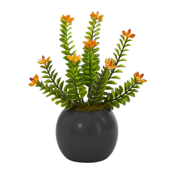 9" Flowering Sedum Succulent Artificial Plant In Black Planter P1451 By Nearly Natural