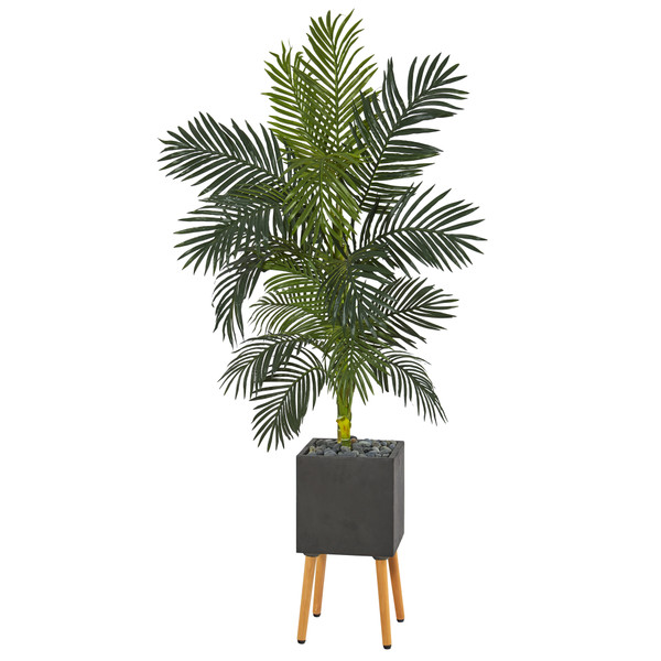 6' Golden Cane Artificial Palm Tree In Black Planter With Stand T1318 By Nearly Natural