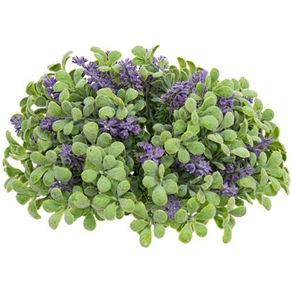 Purple Sage Boxwood Half Sphere FBR3902 By CWI Gifts