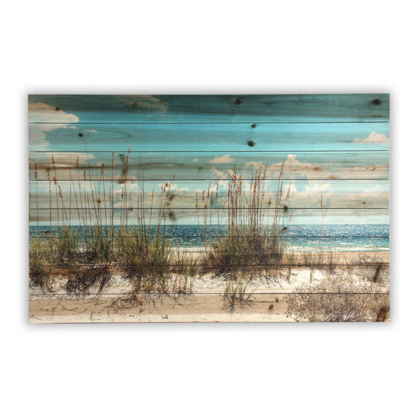 48" Ocean Sand Dunes Wood Plank Wall Art 401527 By Homeroots