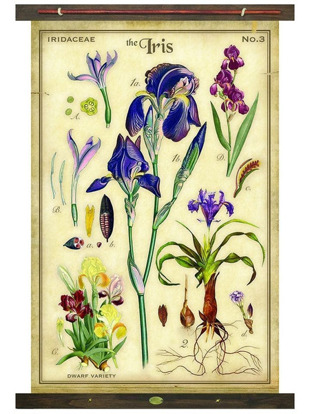 The Iris Arrangement Tapestry Wall Decor 401618 By Homeroots
