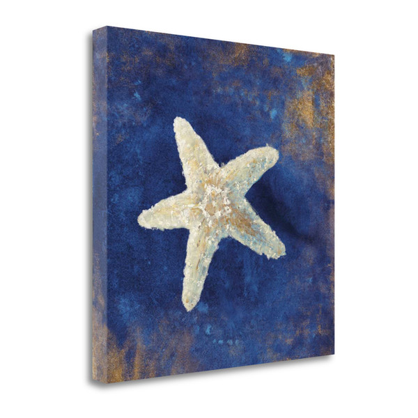 35" Rustic Deep Blue And Gold Starfish Giclee Wrap Canvas Wall Art 465336 By Homeroots