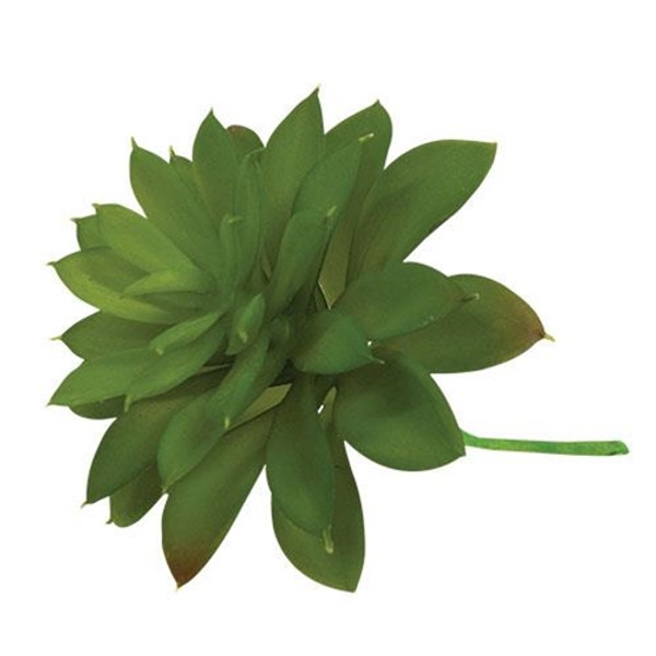 Succulent Pick F61121063 By CWI Gifts