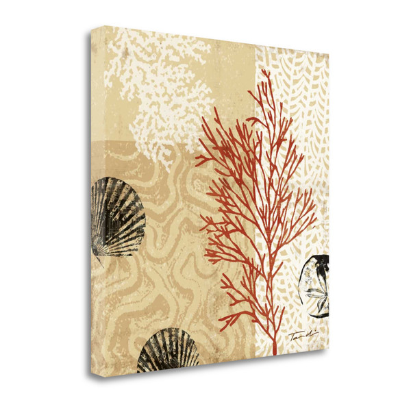 21" Underwater Coral With Seashells And Sandollar 1 Giclee Wrap Canvas Wall Art 421403 By Homeroots
