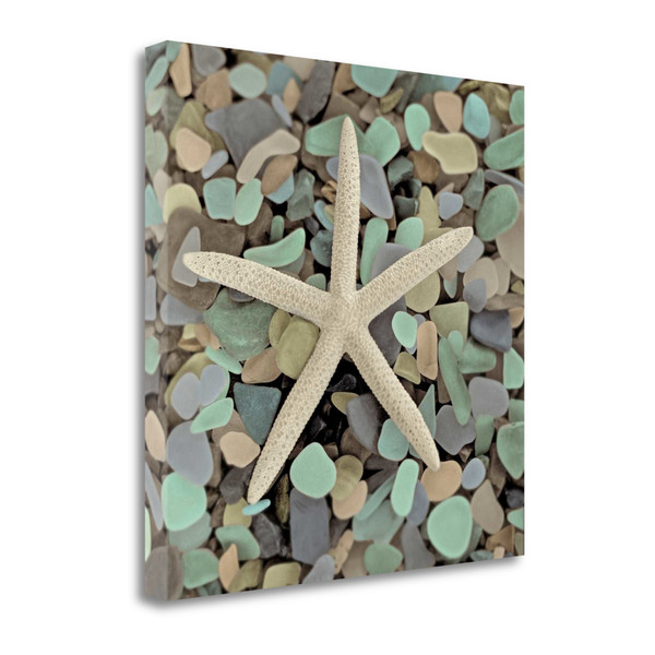 10" Starfish And Colorful Seaglass 3 Giclee Wrap Canvas Wall Art 437831 By Homeroots