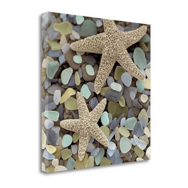 11" Two Starfish And Seaglass 3 Giclee Wrap Canvas Wall Art 437836 By Homeroots