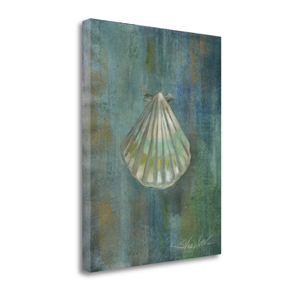 32" Blue Seashell Giclee Wrap Canvas Wall Art 463949 By Homeroots