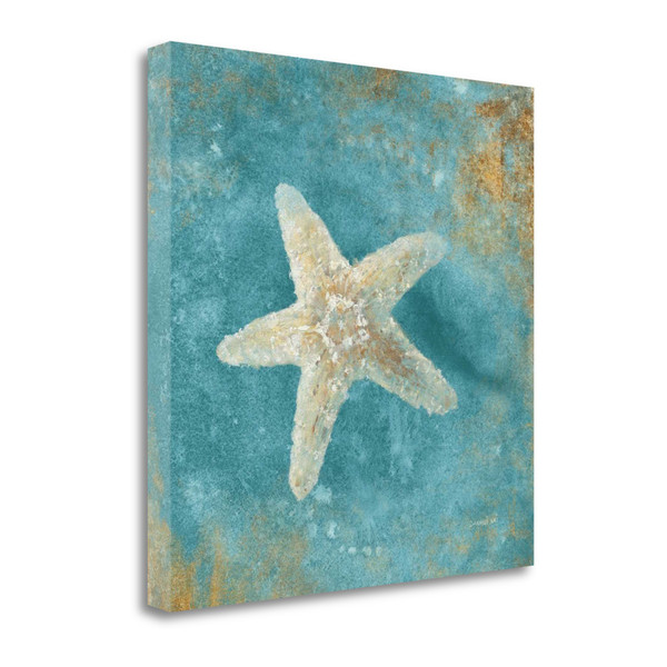 24" Majestic Starfish In The Deep Blue Sea Giclee Wrap Canvas Wall Art 467334 By Homeroots