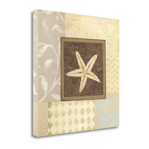 20" Starfish With Multi-Pattern Background Giclee Wrap Canvas Wall Art 446632 By Homeroots
