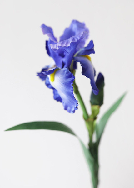 Artificial Bearded Iris In Violet Blue - 32" SLK-FSI325-BL By Afloral