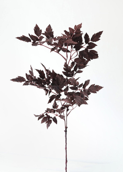 Plum Fake Cimicifuga Ramosa Leaves - 31" SLK-PSC622-PL By Afloral