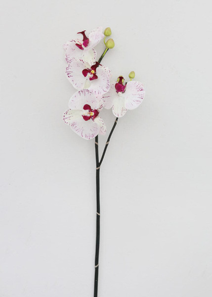 White Artificial Phalaenopsis Orchid - 32" SLK-HSO673-WH/OC By Afloral