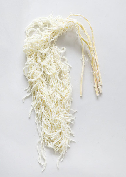 White Preserved Hanging Amaranthus - 32-40" ALI-YFP-AMARANTH-WH By Afloral