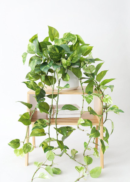 Natural Touch Pothos Artificial Plant - 48" WIN-35073-VG By Afloral