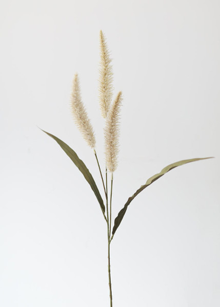 Fake Foxtail Fall Grass In Beige - 36" SLK-FSF467-BE By Afloral