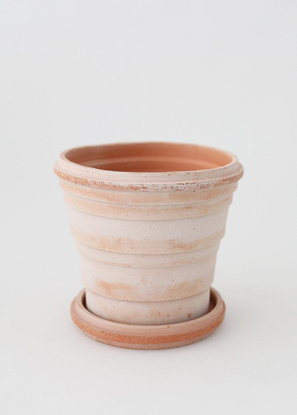 Bergs Pink Terra Cotta Pot With Drainage - 6" BRG-PLAR16P-PLAR16U By Afloral