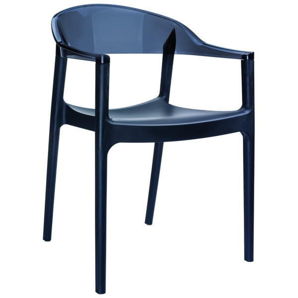 Carmen Transparent Black Dining Chair - Set Of 2 ISP059-BLA-TBLA