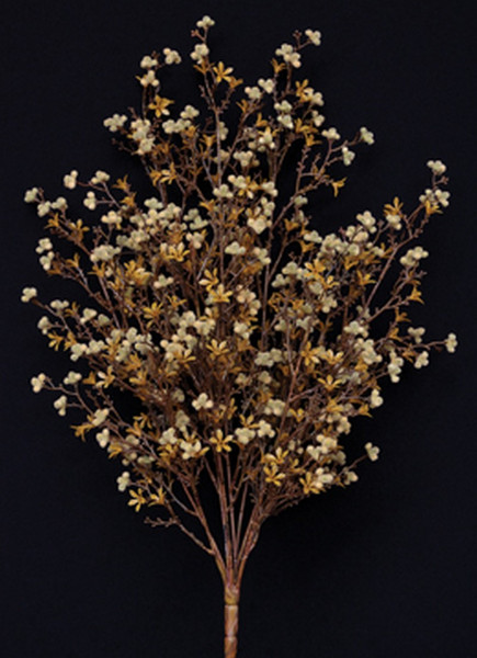 Star Flower Berry Bush - Earthtone FTE8017ET By CWI Gifts
