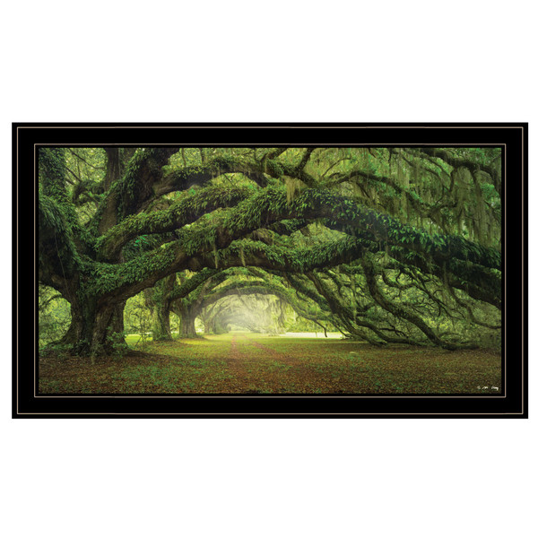 Passage 3 Black Framed Print Wall Art 406516 By Homeroots