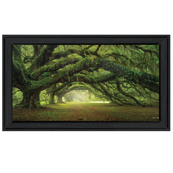 Passage 1 Black Framed Print Wall Art 407436 By Homeroots