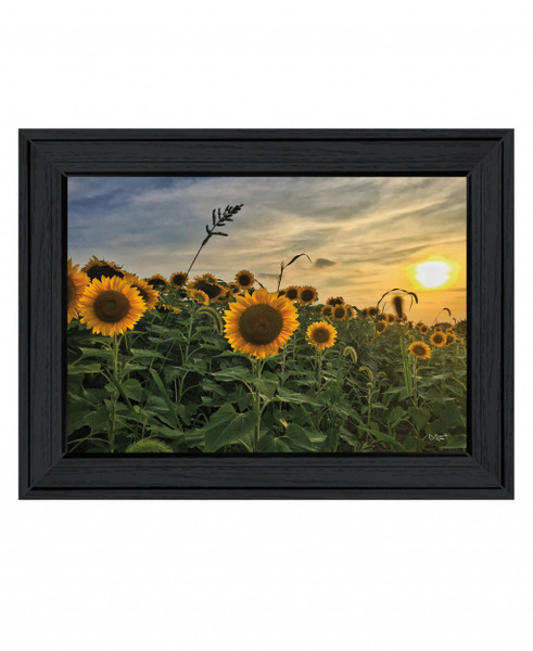 Midwest Livin I 2 Black Framed Print Wall Art 407614 By Homeroots