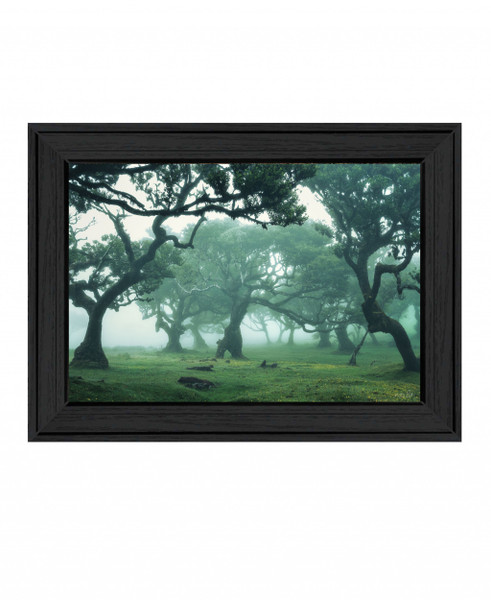 Enchanted Forest Ii 3 Black Framed Print Wall Art 407843 By Homeroots